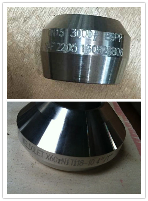 Sw Carbon Steel Socket Weld Forged 6000# Olet