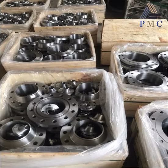 ANSI/DIN/En1092-1 Carbono Forjado/Aço Inoxidável Pn10/16 Soldagem Pescoço/Cego/Deslizamento/Junta Sobreposta/Placa Plana/Soquete RF/FF Flanges de Tubo