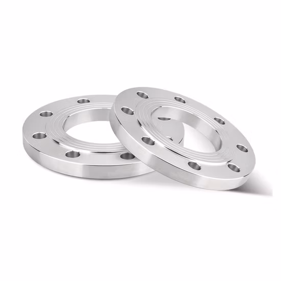 Flange Wn de solda de topo de pescoço forjado de aço inoxidável